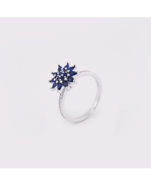 Colour Ring