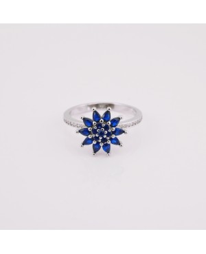 Colour Ring
